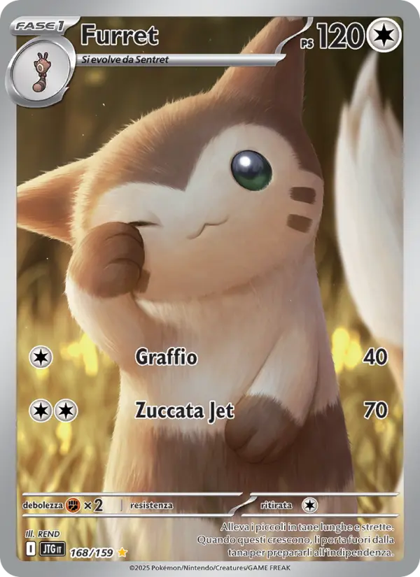 Furret